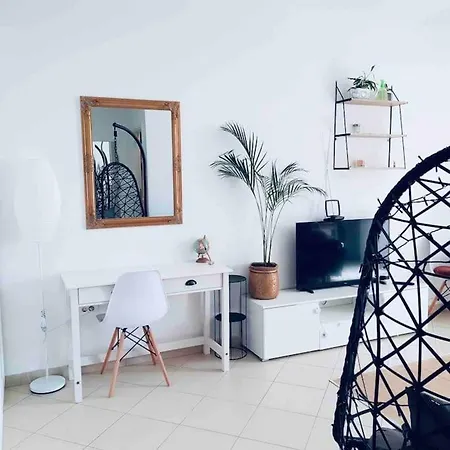 Studio Stella
